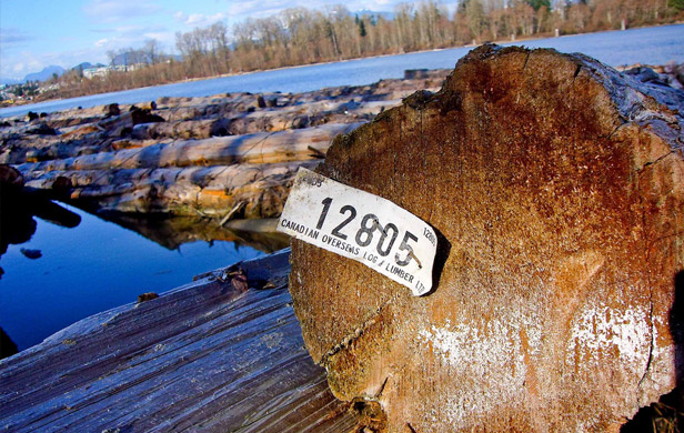 Raw Canadian logs for export (Paul Joseph/Flickr CC Licence)