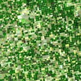 An aerial view of farms in Kansas - from Wikimedia Commons