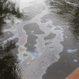 Spilled diluted bitumen separates in Michigan's Kalamazoo River (photo: NRDC's Switchboard)