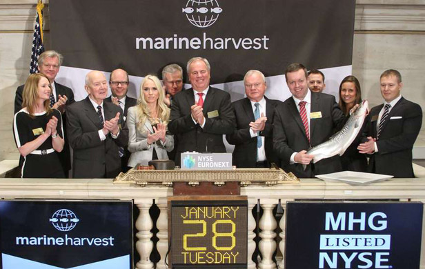 Marine Harvest lists on NYSE as Harper govt plans salmon farm expansion
