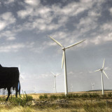Wind power now Spain's top source of electricity as GHG's plummet