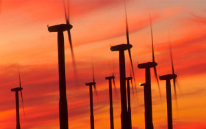 wind-farm-sunset