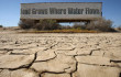 As California Drought Drives Up BC Food Prices…a Dam To Flood Our Best ...