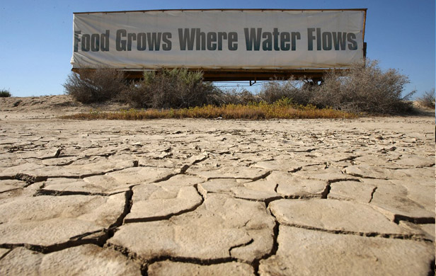 As California drought drives up BC food prices...a dam to flood our best farmland