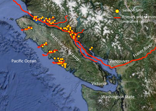 Map of BC salmon farms and migratory routes
