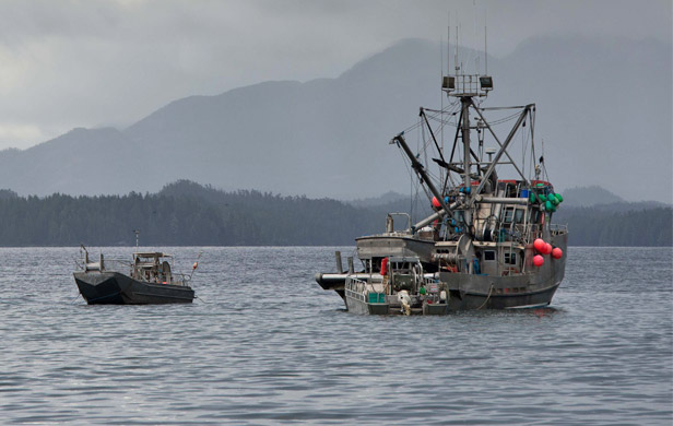 BC Salmon Gillnetters Association