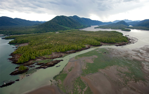 Lelu Island and Flora Bank (foreground) - site of controversial proposed LNG plant (Skeena Watershed Conservation Soc.)