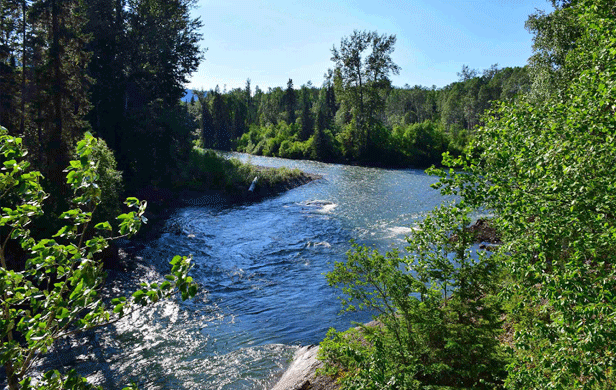 The Kispiox River, north of Hazelton, BC (Graeme Pole)