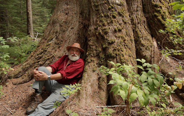 Craig Pettitt of Valhalla Wilderness Society in the Incomappleux Valley (Image: Damien Gillis)