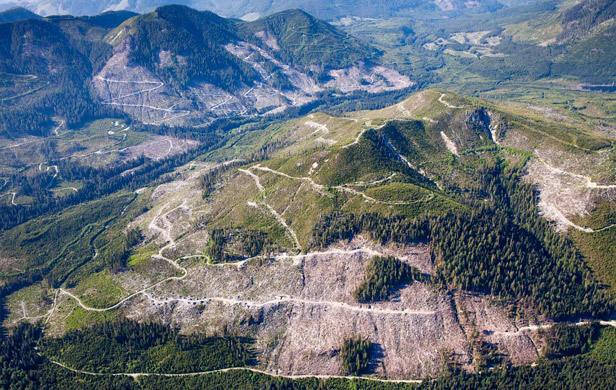 Clearcuts in the Klanawa Valley on Vancouver Island (Photo: TJ Watt)